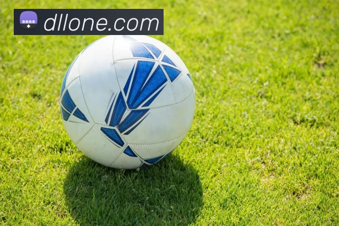 AI Risk Control